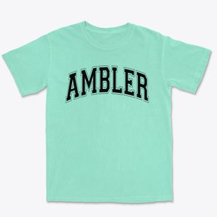 Ambler Elementary School Varsity Arch Premium Heavyweight T-shirt
