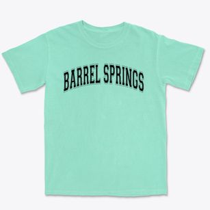 Barrel Springs Elementary School Varsity Arch Premium Heavyweight T-shirt