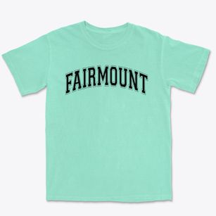 Fairmount Elementary School Varsity Arch Premium Heavyweight T-shirt