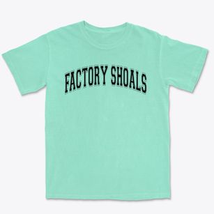 Factory Shoals Elementary School Varsity Arch Premium Heavyweight T-shirt