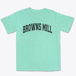 Browns Mill Elementary School Varsity Arch Premium Heavyweight T-shirt