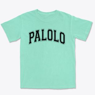 Palolo Elementary School Varsity Arch Premium Heavyweight T-shirt