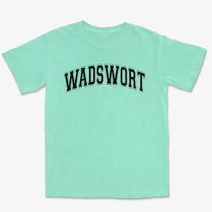 Wadsworth Child Parent Center Varsity Arch Premium Heavyweight T-shirt