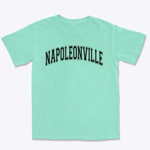 Napoleonville Primary School Varsity Arch Premium Heavyweight T-shirt