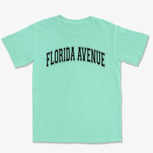 Florida Avenue Elementary School Varsity Arch Premium Heavyweight T-shirt