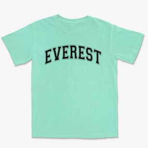 Everest Collegiate High School Varsity Arch Premium Heavyweight T-shirt