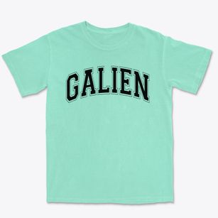 Galien School Varsity Arch Premium Heavyweight T-shirt