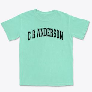 C R Anderson Alternative School Varsity Arch Premium Heavyweight T-shirt