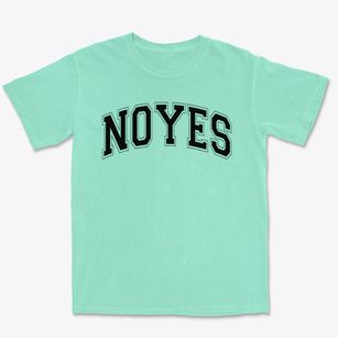 Noyes Elementary School Varsity Arch Premium Heavyweight T-shirt