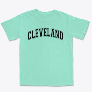 Cleveland Elementary School Varsity Arch Premium Heavyweight T-shirt