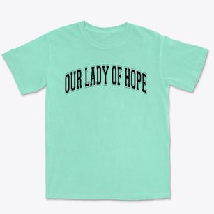 Our Lady Of Hope School Varsity Arch Premium Heavyweight T-shirt
