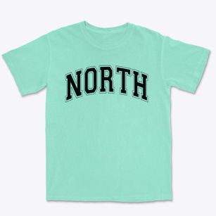 North Junior High School Varsity Arch Premium Heavyweight T-shirt