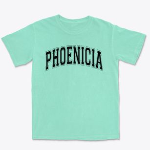 Phoenicia Elementary School Varsity Arch Premium Heavyweight T-shirt