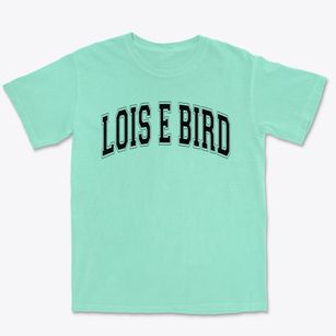 Lois E Bird Elementary School Varsity Arch Premium Heavyweight T-shirt