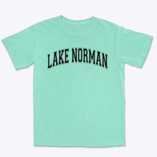 Lake Norman High School Varsity Arch Premium Heavyweight T-shirt