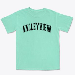 Valleyview Elementary School Varsity Arch Premium Heavyweight T-shirt