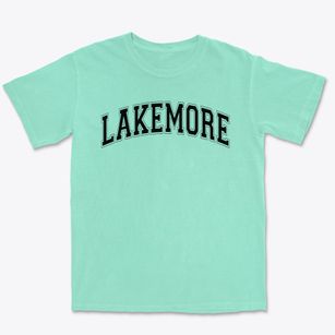 Lakemore Elementary School Varsity Arch Premium Heavyweight T-shirt