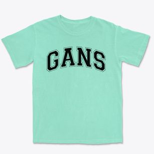 Gans Elementary School Varsity Arch Premium Heavyweight T-shirt