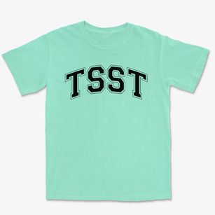 Tulsa School For Science & Technology Varsity Arch Premium Heavyweight T-shirt