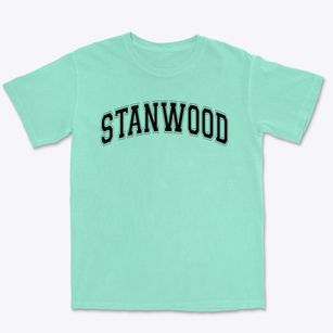 Stanwood Elementary School Varsity Arch Premium Heavyweight T-shirt