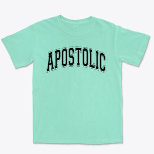 Apostolic Christian Academy Varsity Arch Premium Heavyweight T-shirt
