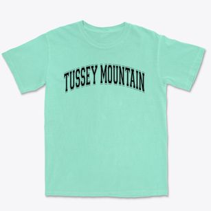 Tussey Mountain High School Varsity Arch Premium Heavyweight T-shirt