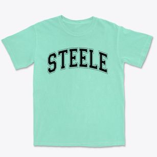 Steele Elementary School Varsity Arch Premium Heavyweight T-shirt