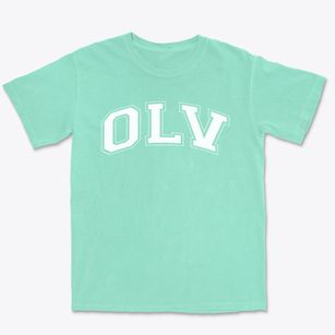 Our Lady Of The Valley School Varsity Arch Premium Heavyweight T-shirt