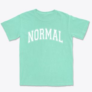 Normal Community High School Varsity Arch Premium Heavyweight T-shirt