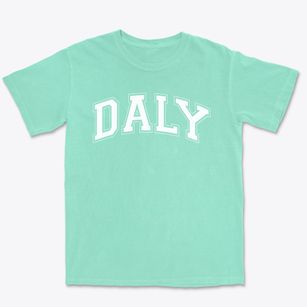 Daly Elementary School Varsity Arch Premium Heavyweight T-shirt