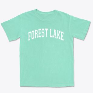 Forest Lake Elementary School Varsity Arch Premium Heavyweight T-shirt