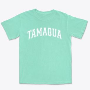 Tamaqua Elementary School Varsity Arch Premium Heavyweight T-shirt