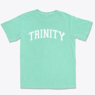 Trinity Christian Academy Varsity Arch Premium Heavyweight T-shirt