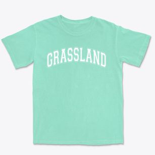 Grassland Elementary School Varsity Arch Premium Heavyweight T-shirt