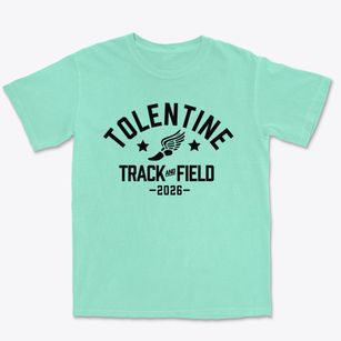 St. Nicholas Of Tolentine High School Track and Field Premium Heavyweight T-shirt