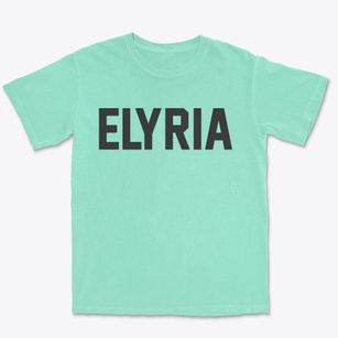 Elyria Ohio Classic Block Premium Heavyweight T-shirt