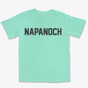 Napanoch New York Classic Block Premium Heavyweight T-shirt