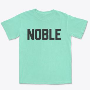 Noble Illinois Classic Block Premium Heavyweight T-shirt