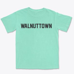 Walnuttown Pennsylvania Classic Block Premium Heavyweight T-shirt