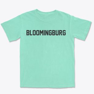Bloomingburg New York Classic Block Premium Heavyweight T-shirt