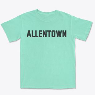 Allentown Georgia Classic Block Premium Heavyweight T-shirt