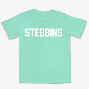 Stebbins Alaska Classic Block Premium Heavyweight T-shirt