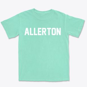 Allerton Iowa Classic Block Premium Heavyweight T-shirt