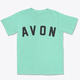 Avon New York Classic Curve Premium Heavyweight T-shirt