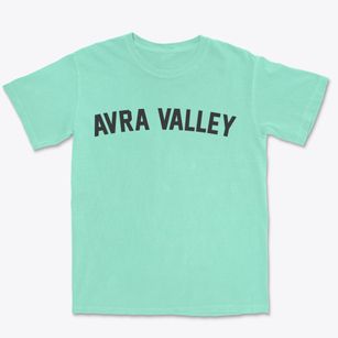 Avra Valley Arizona Classic Curve Premium Heavyweight T-shirt