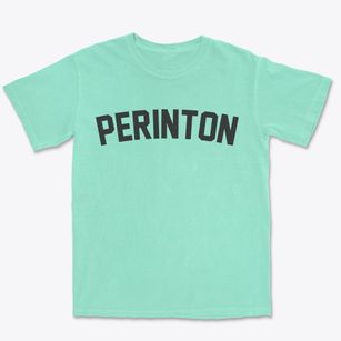 Perinton New York Classic Curve Premium Heavyweight T-shirt