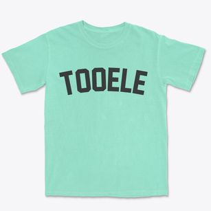 Tooele Utah Classic Curve Premium Heavyweight T-shirt