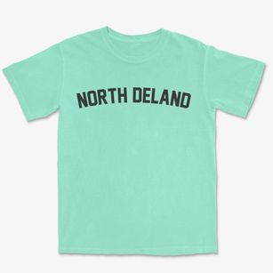 North Deland Florida Classic Curve Premium Heavyweight T-shirt
