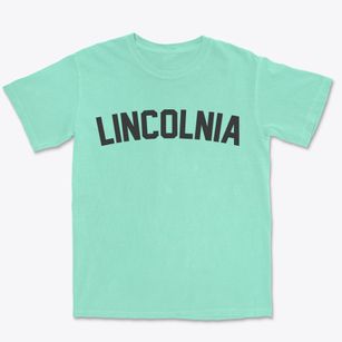 Lincolnia Virginia Classic Curve Premium Heavyweight T-shirt