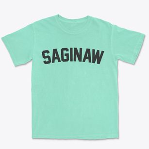 Saginaw Texas Classic Curve Premium Heavyweight T-shirt